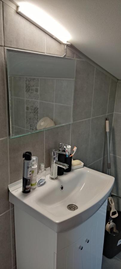 Apartmán Мансардна Никол Vidin Exteriér fotografie